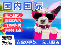 塔城千泉空运代理国际宠物托运 【国